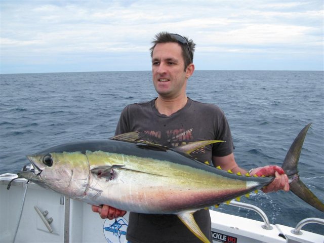 Jurien Bay Yellowfin